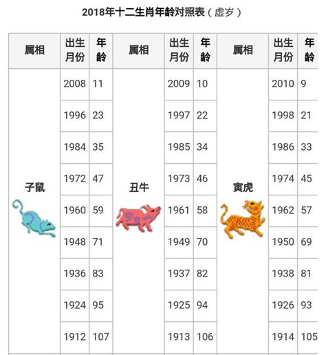 屬馬幾年次|【十二生肖年份】12生肖年齡對照表、今年生肖 